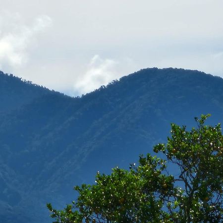 Hospedaje Finca Agroturistica Dona Rufa Rio Sereno Екстер'єр фото