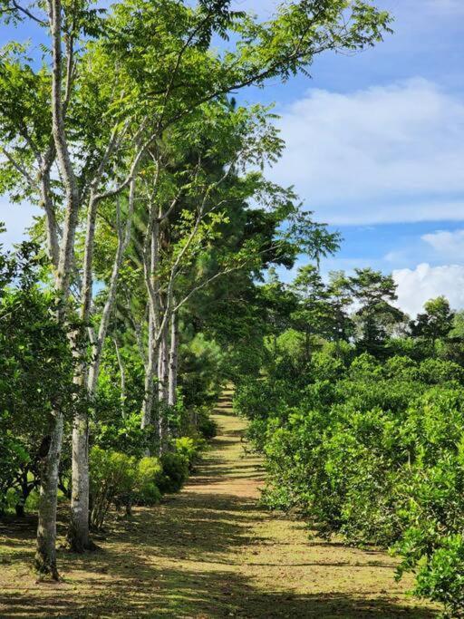 Hospedaje Finca Agroturistica Dona Rufa Rio Sereno Екстер'єр фото