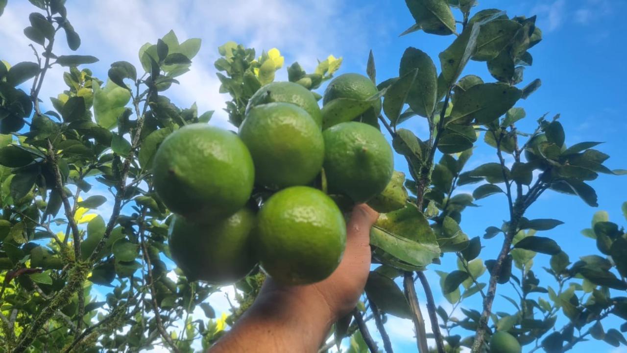 Hospedaje Finca Agroturistica Dona Rufa Rio Sereno Екстер'єр фото