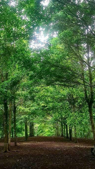 Hospedaje Finca Agroturistica Dona Rufa Rio Sereno Екстер'єр фото