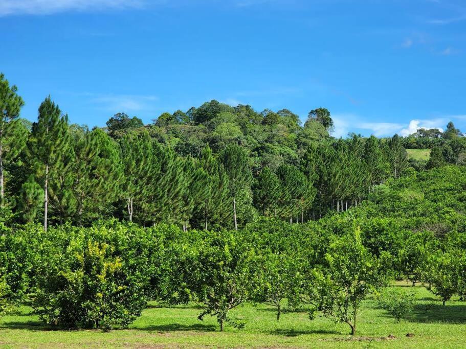 Hospedaje Finca Agroturistica Dona Rufa Rio Sereno Екстер'єр фото