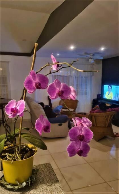 Hospedaje Finca Agroturistica Dona Rufa Rio Sereno Екстер'єр фото