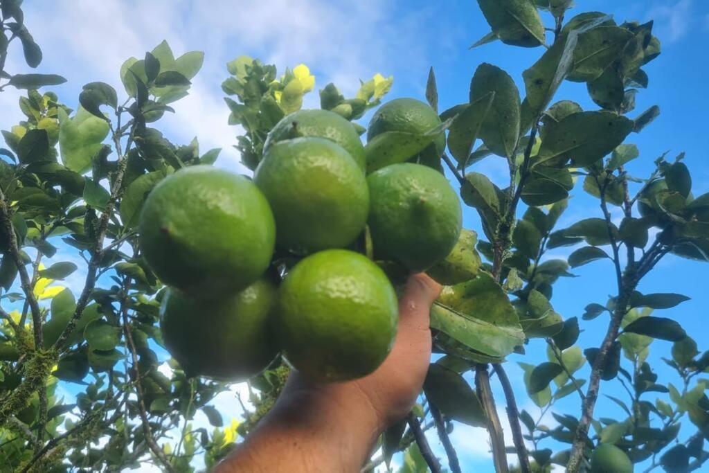 Hospedaje Finca Agroturistica Dona Rufa Rio Sereno Екстер'єр фото