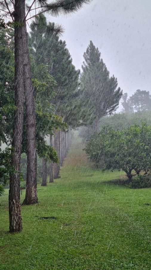 Hospedaje Finca Agroturistica Dona Rufa Rio Sereno Екстер'єр фото