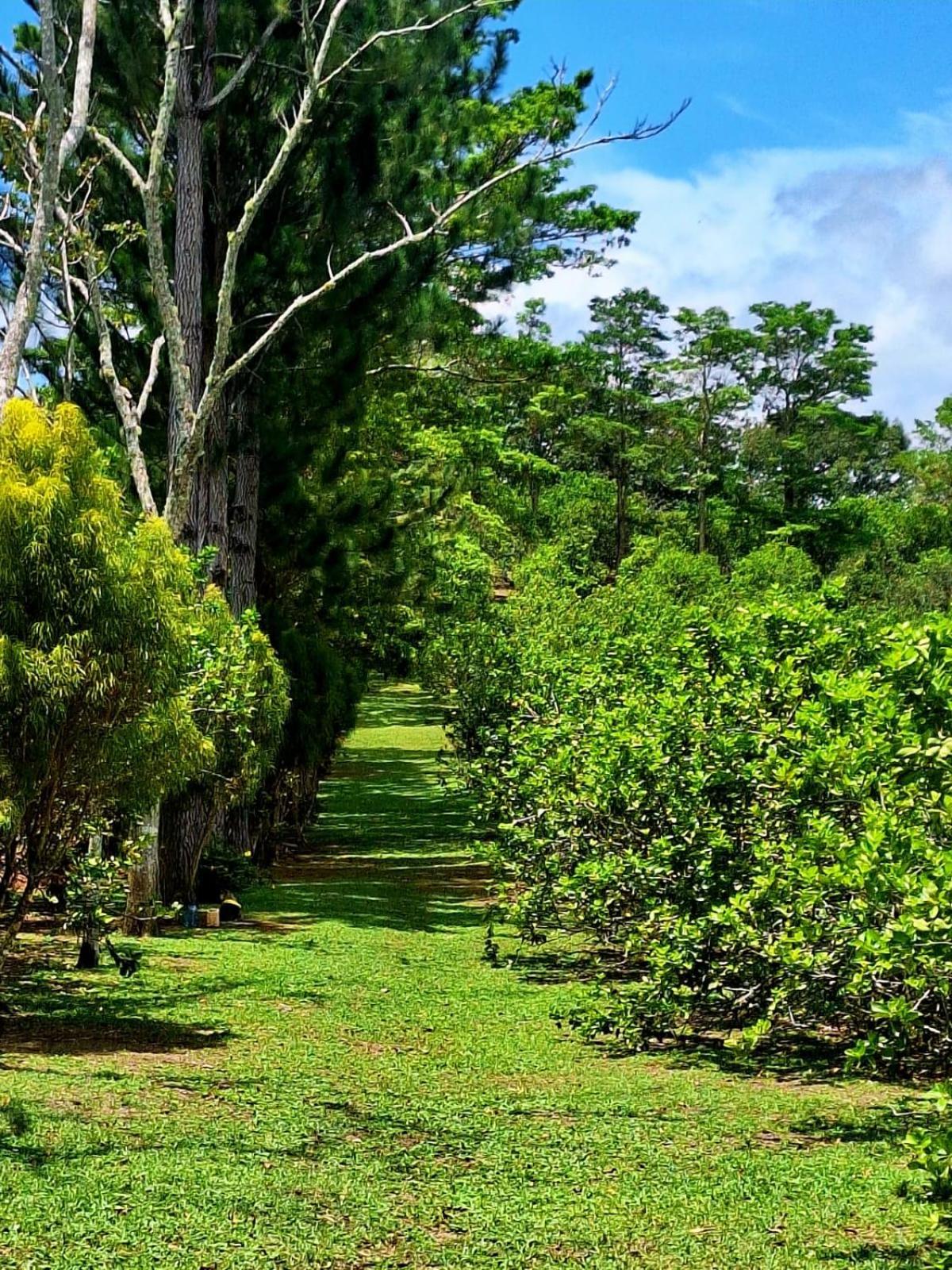Hospedaje Finca Agroturistica Dona Rufa Rio Sereno Номер фото